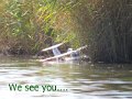 IMG_2395