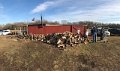 Woodsplitting2