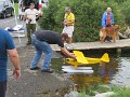 IMG_3037