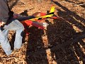 IMG_6100