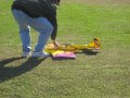 IMG_0531