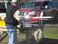 IMG_0538